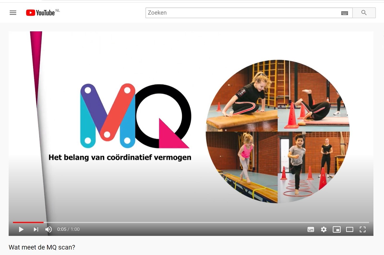 Wat meet de MQ Scan Wat meet de MQ Scan